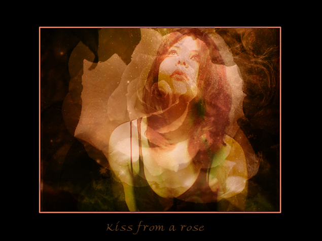 Kiss from a rose